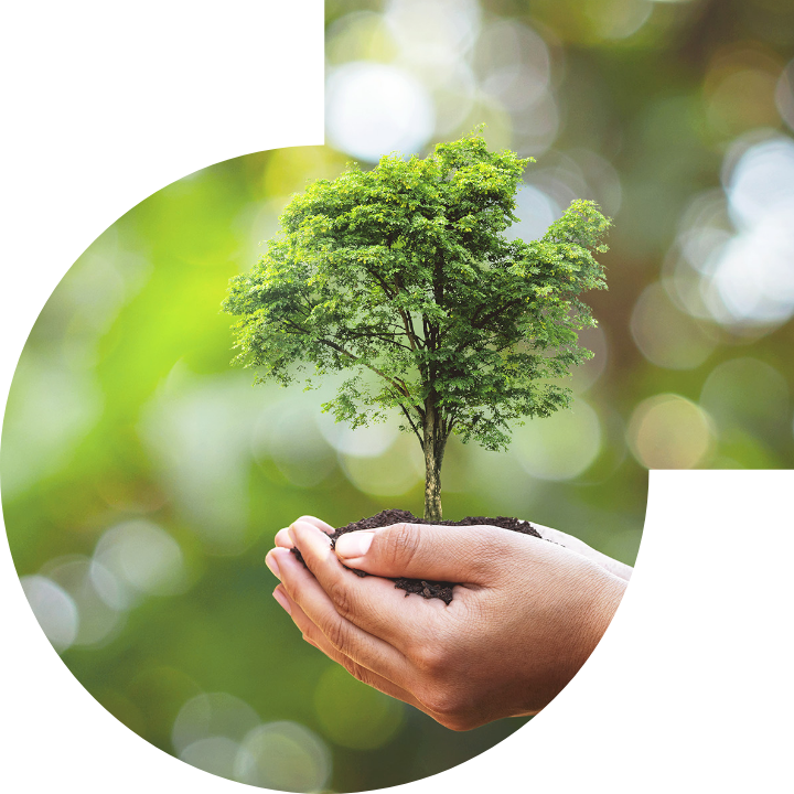 关怀人类、文化、环境与社会